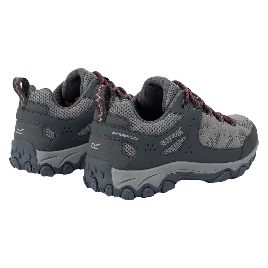 Regatta Edgepoint IV Scarpe Basso  