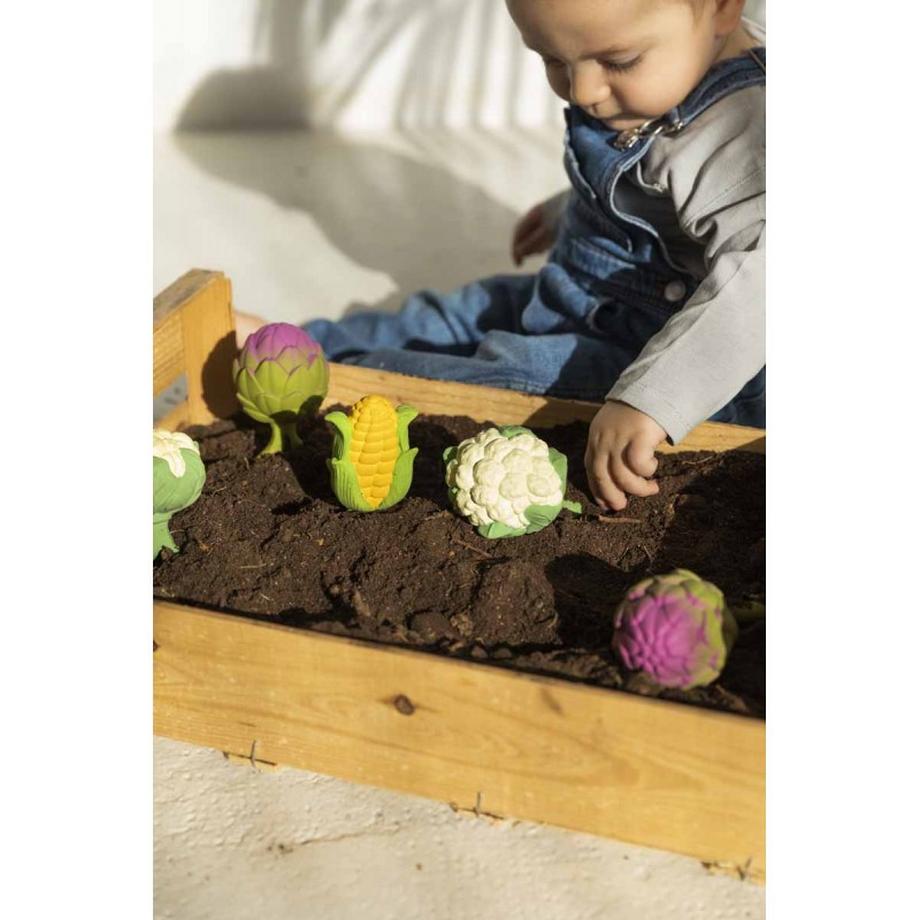 Oli & Carol  Blumenkohl Babyrassel 