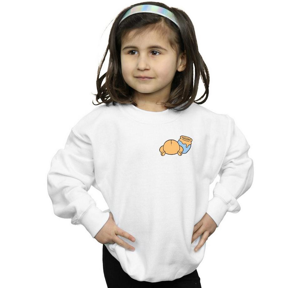 Disney  Sweatshirt 