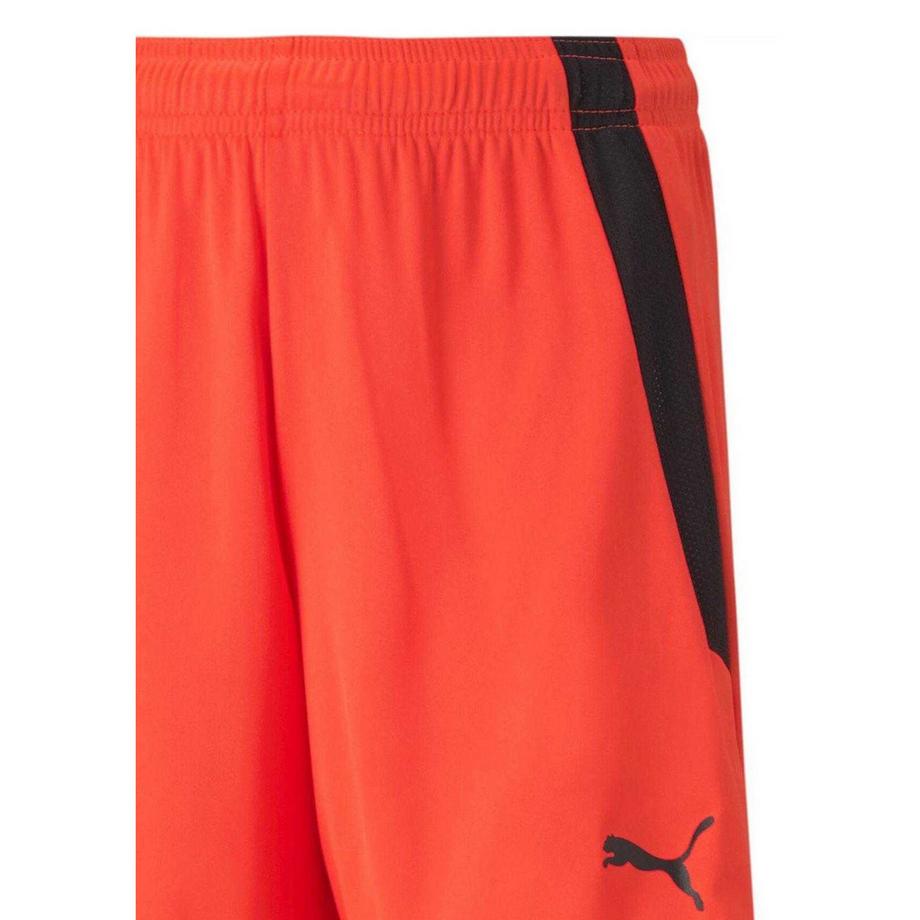 PUMA  Short De Foot Team Liga 