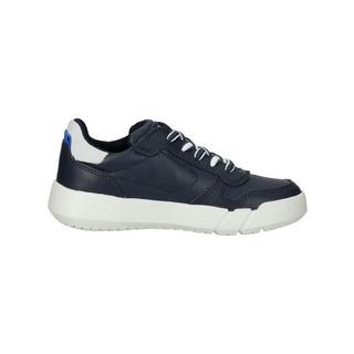 GEOX  Sneaker 