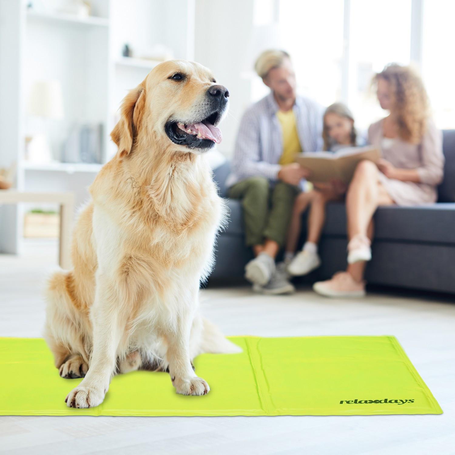 Northix  Kühlmatte für Hunde 