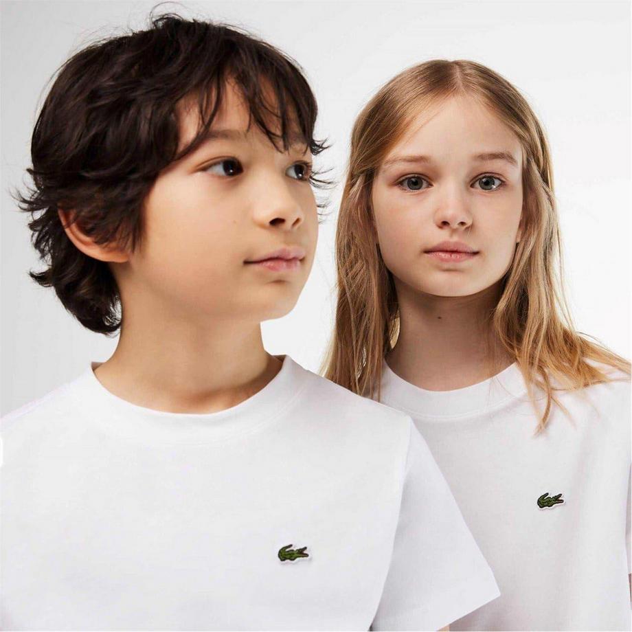 LACOSTE  T-ShirtMotiftyle Brodé Basic 