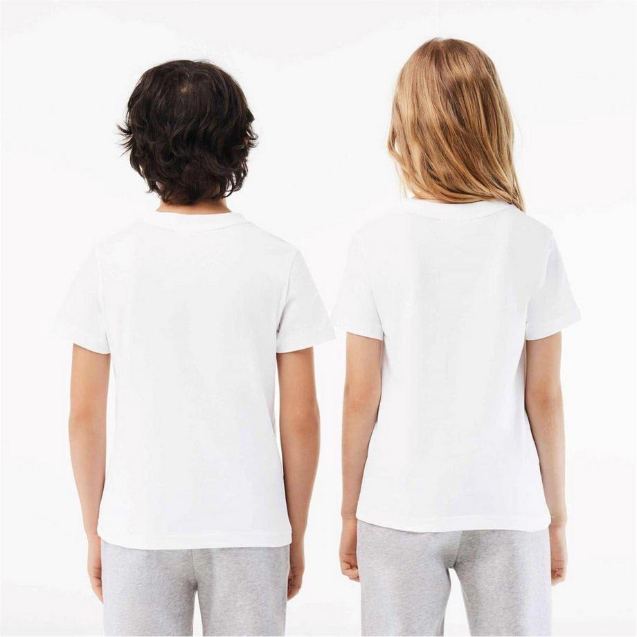 LACOSTE  T-ShirtMotiftyle Brodé Basic 