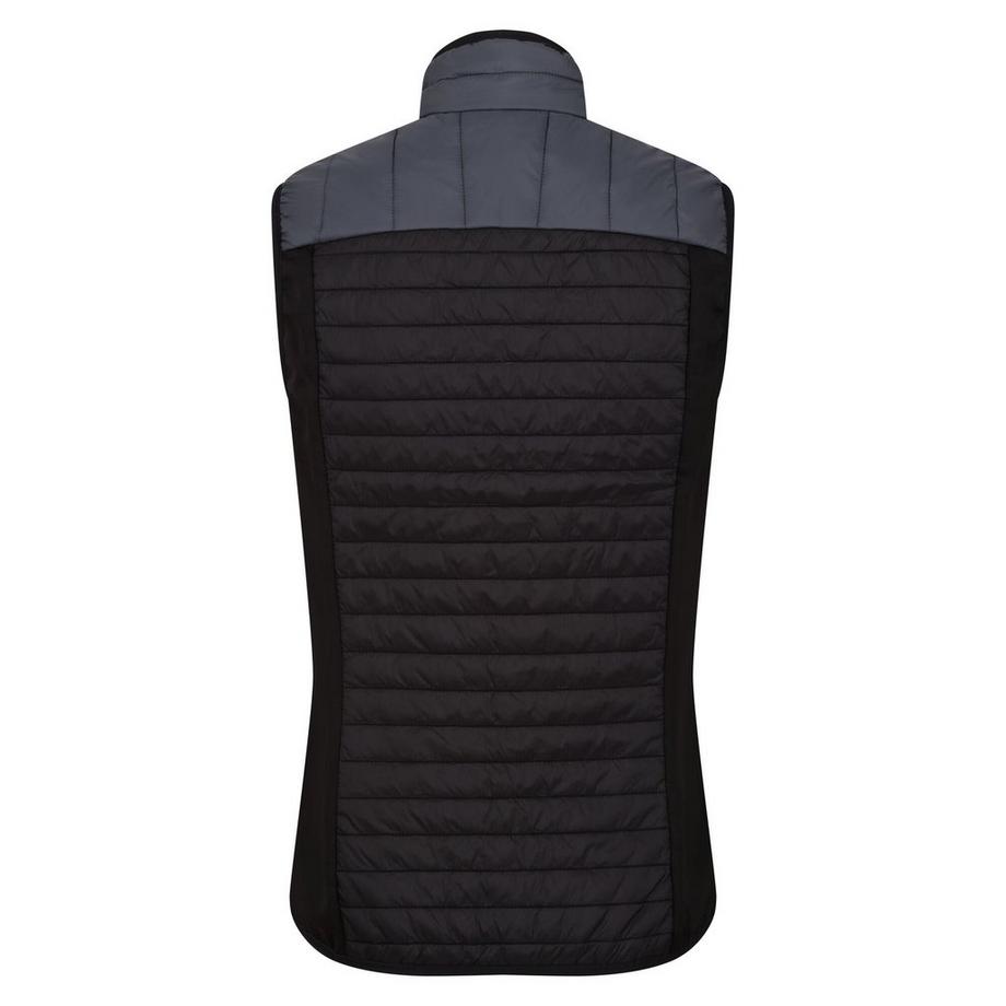 Regatta Gilet Trutton  