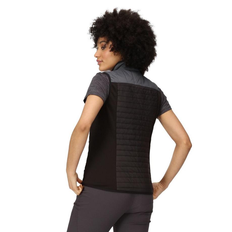 Regatta Gilet Trutton  