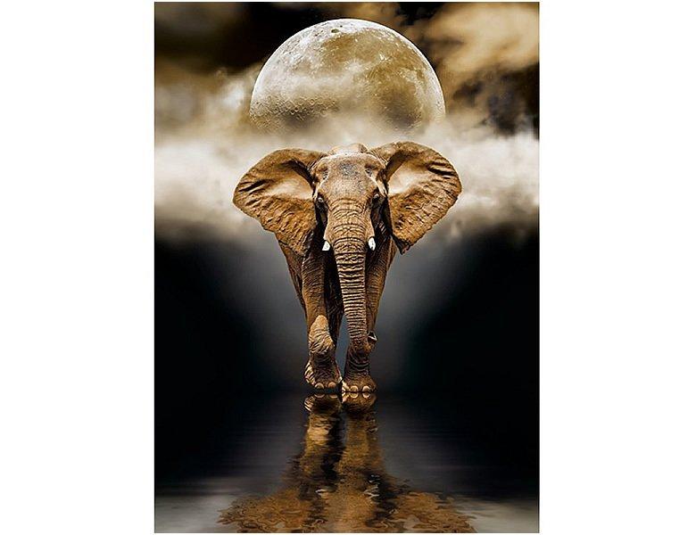 Clementoni  Puzzle Elefant im Mondschein (1000Teile) 
