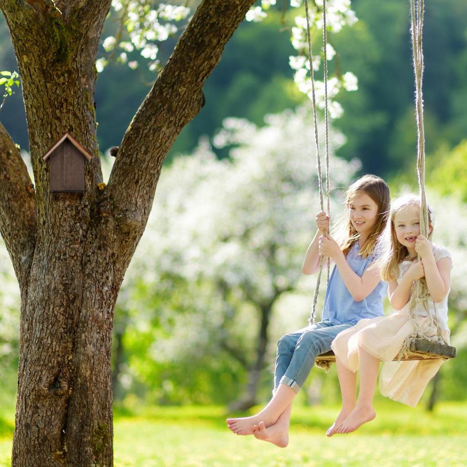 B2X Maison de coccinelle en bois  