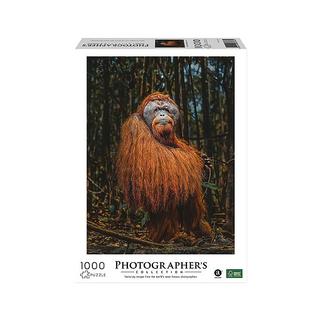 Ambassador  Puzzle Orang-Utan (1000Teile) 