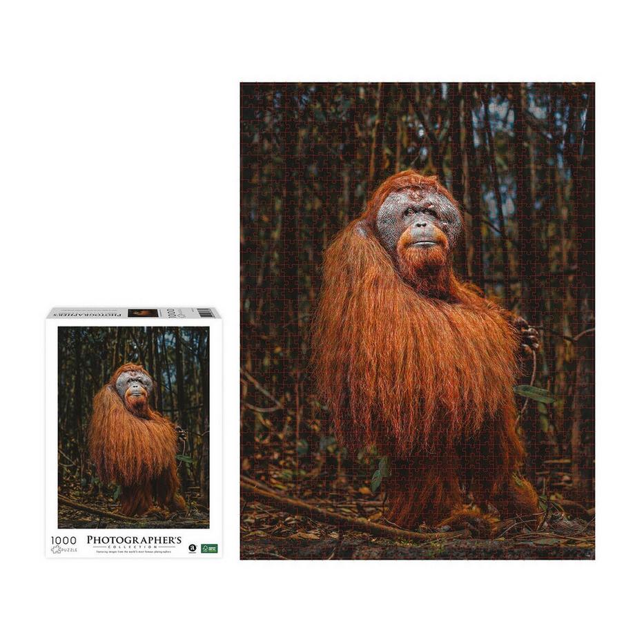 Ambassador  Puzzle Orang-Utan (1000Teile) 