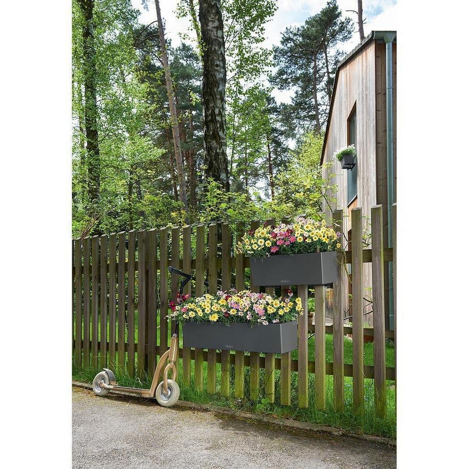 Lechuza vaso Plastica  