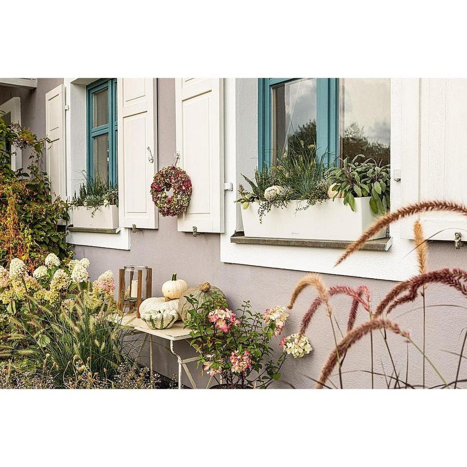 Lechuza vaso Plastica  