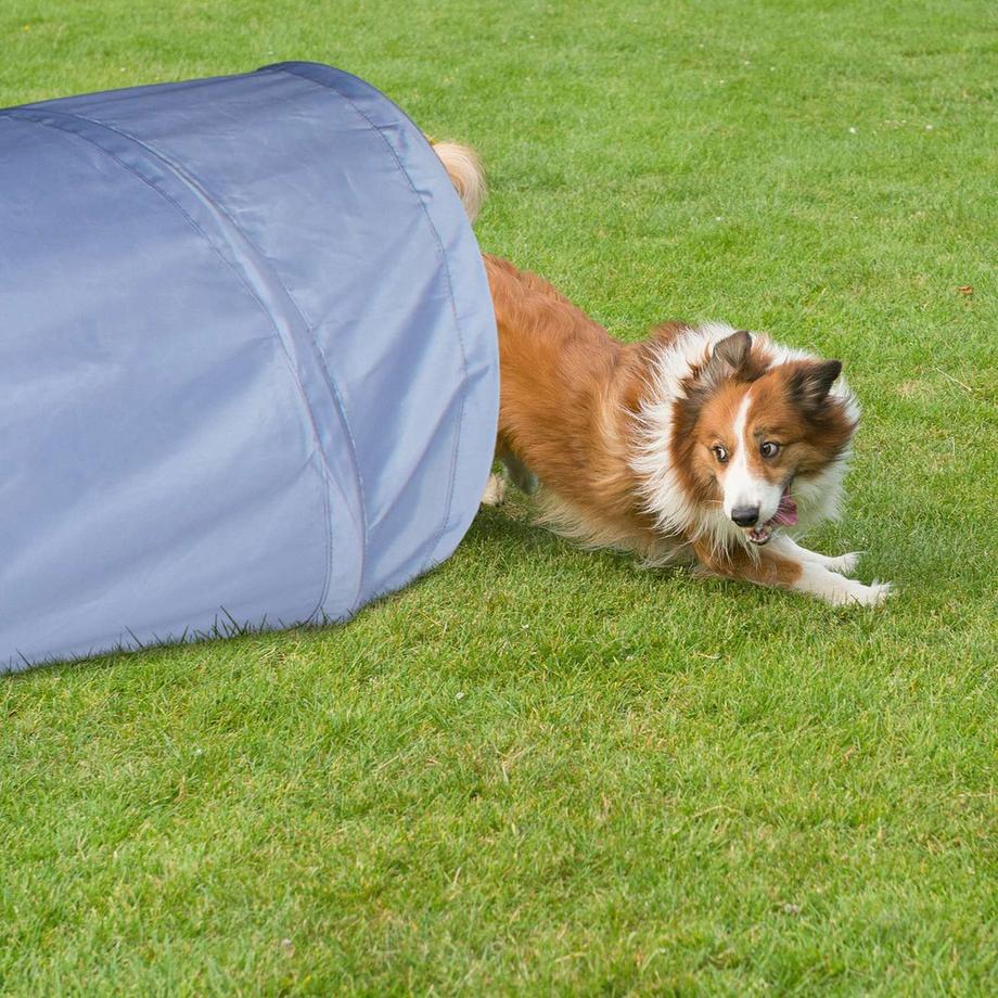 B2X  Hundetunnel Agility 2m 