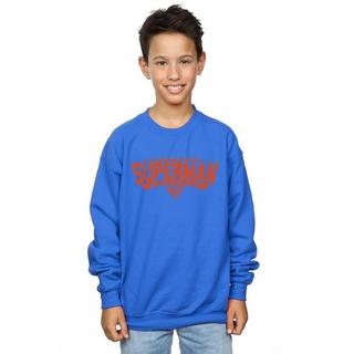 DC COMICS  My Hero Sweatshirt 