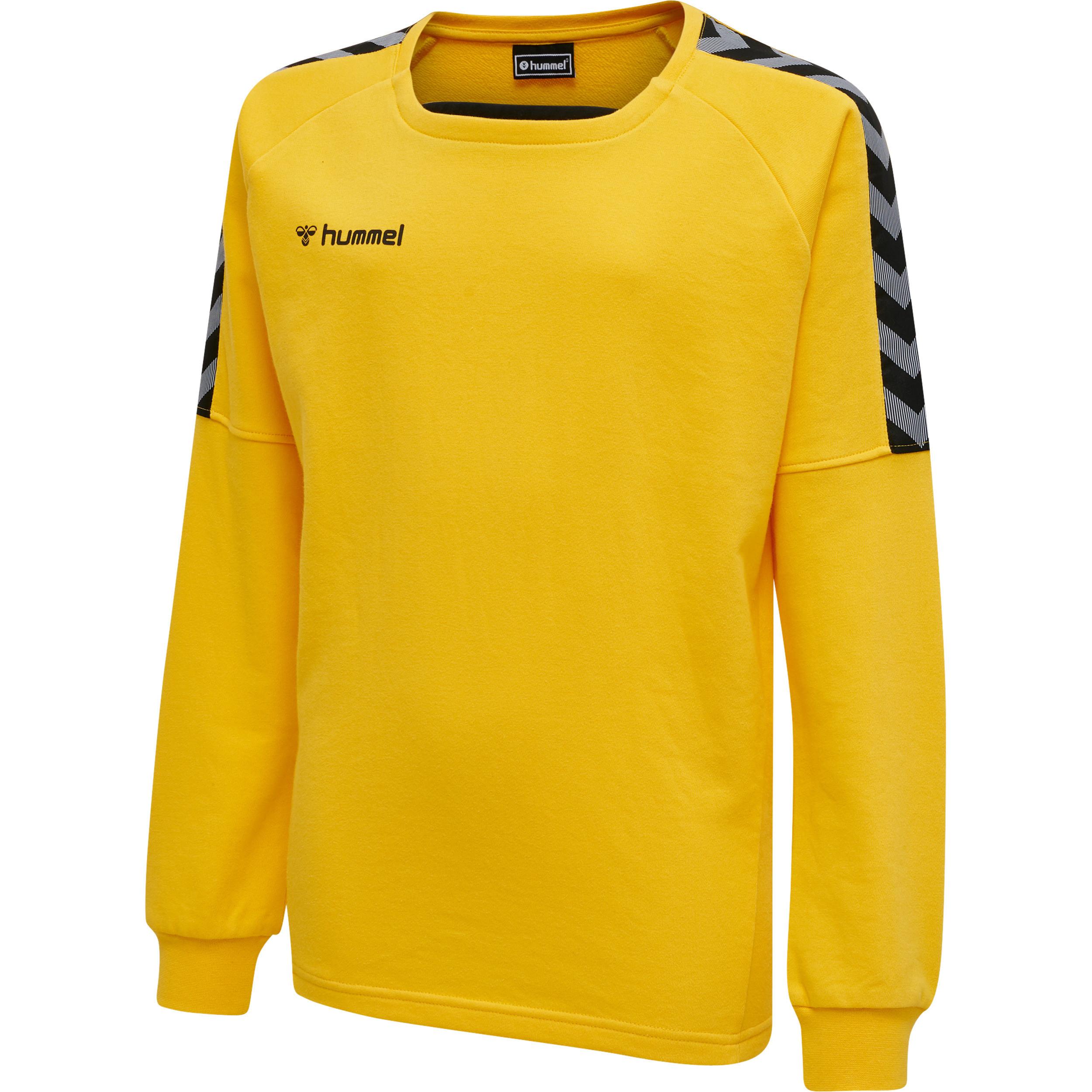 Hummel  pullover kind hmlauthentic training 