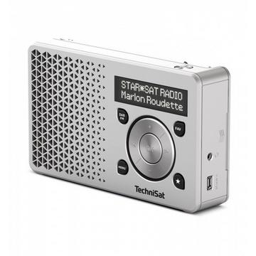 DAB+ Radio DigitRadio 1 Silber