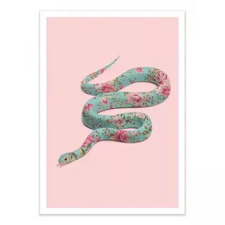 Wall Editions  Art-Poster - Floral Snake - Paul Fuentes - 50 x 70 cm 