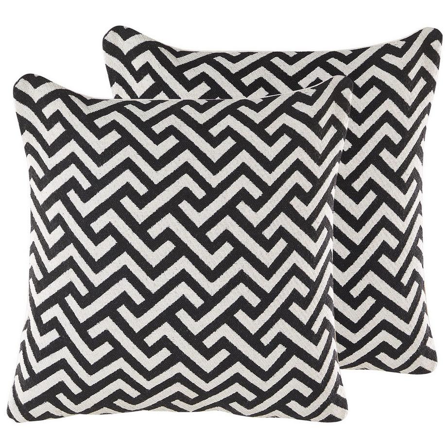 Lot de 2 coussins décoratifs en Coton Rétro SALIZAR