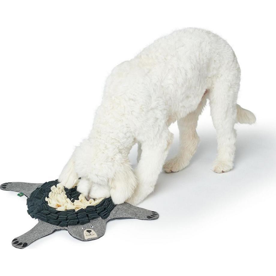 Hunter  Bill und Bär Schnüffelteppich 