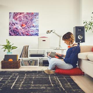 B2X Stoff-Aufbewahrungsbox 2er-Set  