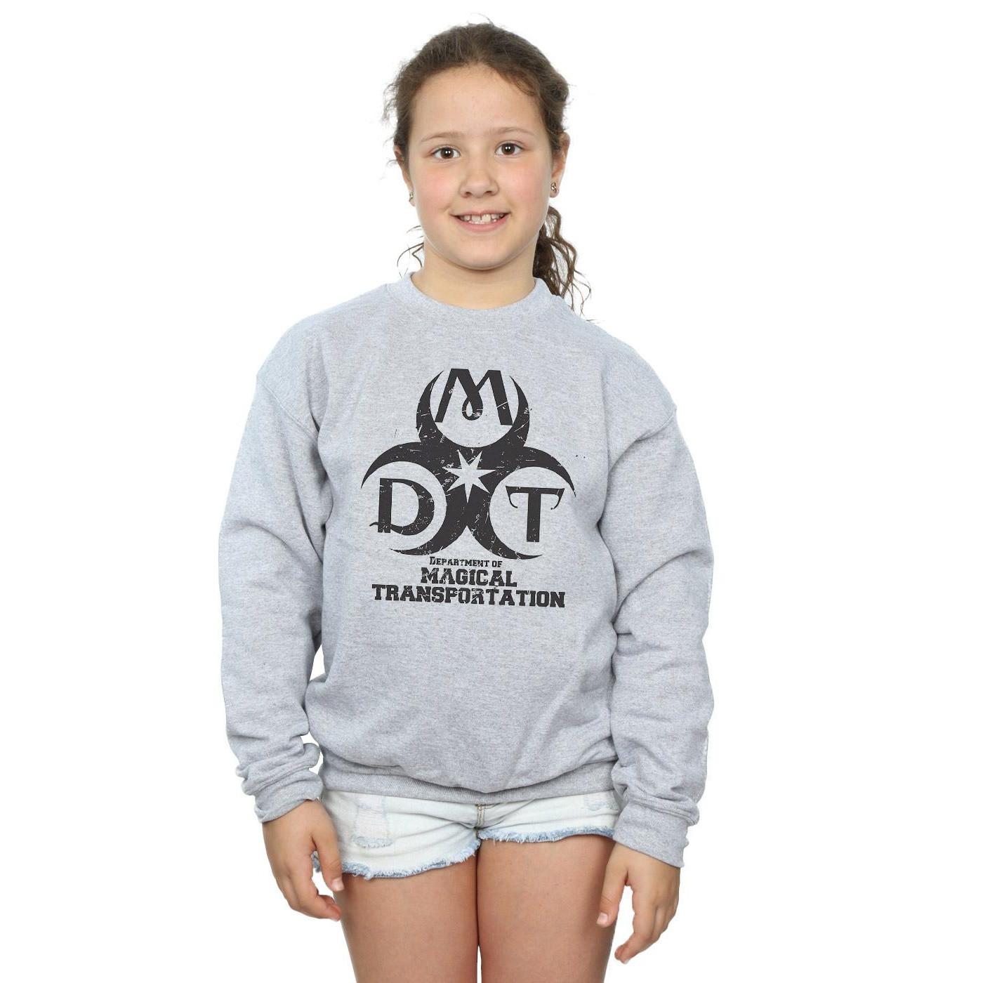 HARRY-POTTER  Department Of Magical Transportation Sweatshirt 