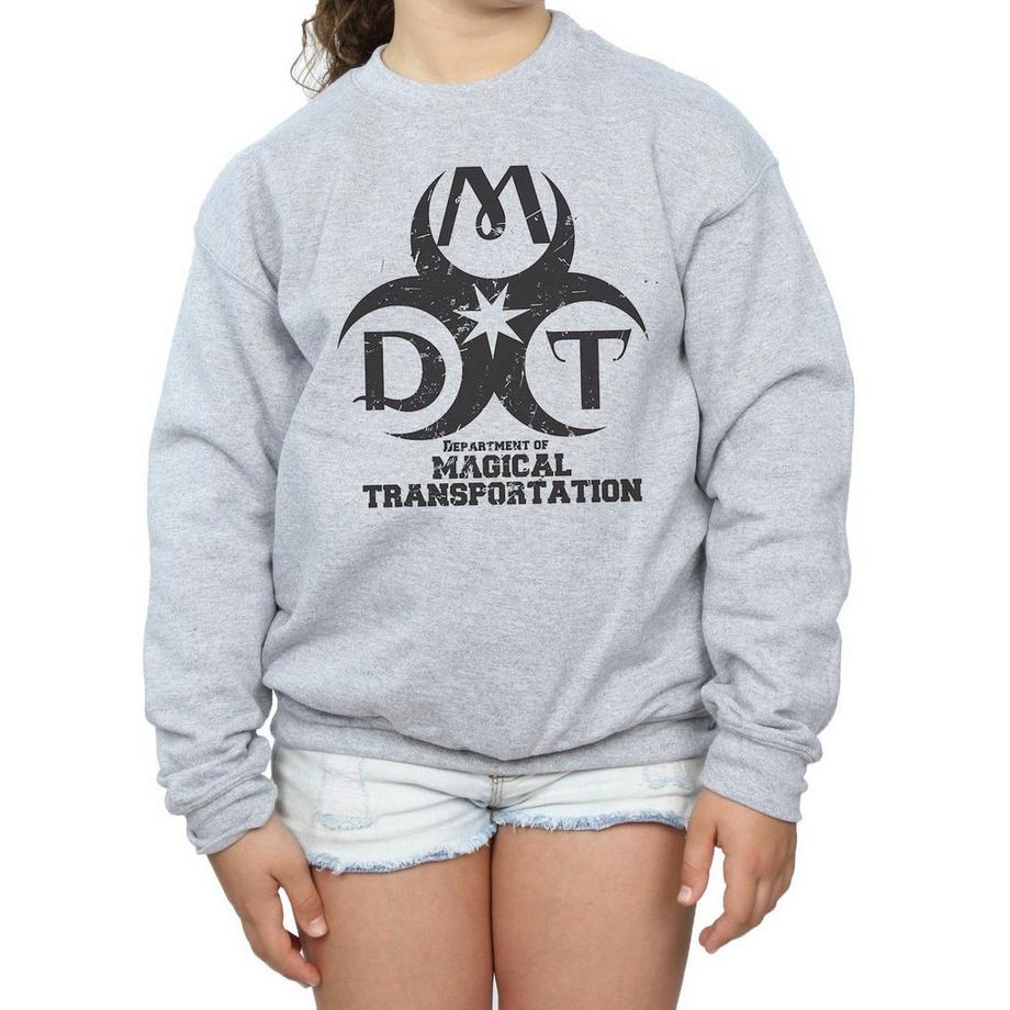 Harry Potter  Sweat DEPARTMENT OF MAGICAL TRANSPORTATION 
