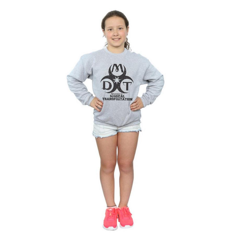 Harry Potter  Sweat DEPARTMENT OF MAGICAL TRANSPORTATION 