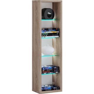 VCM Holz CD DVD Stand Aufbewahrung Standregal Bücherregal Deko Regal Glas Rasato  