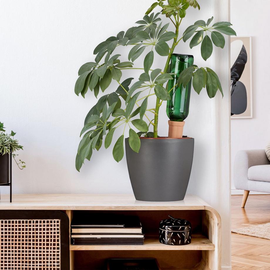 B2X  Kegel aus Ton zur Bewässerung im 6er-Set 