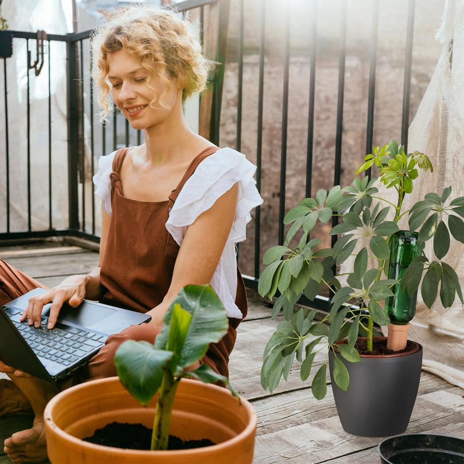 B2X  Kegel aus Ton zur Bewässerung im 6er-Set 