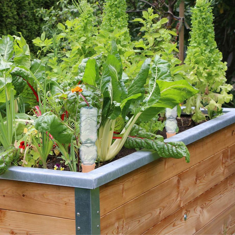 B2X  Kegel aus Ton zur Bewässerung im 6er-Set 