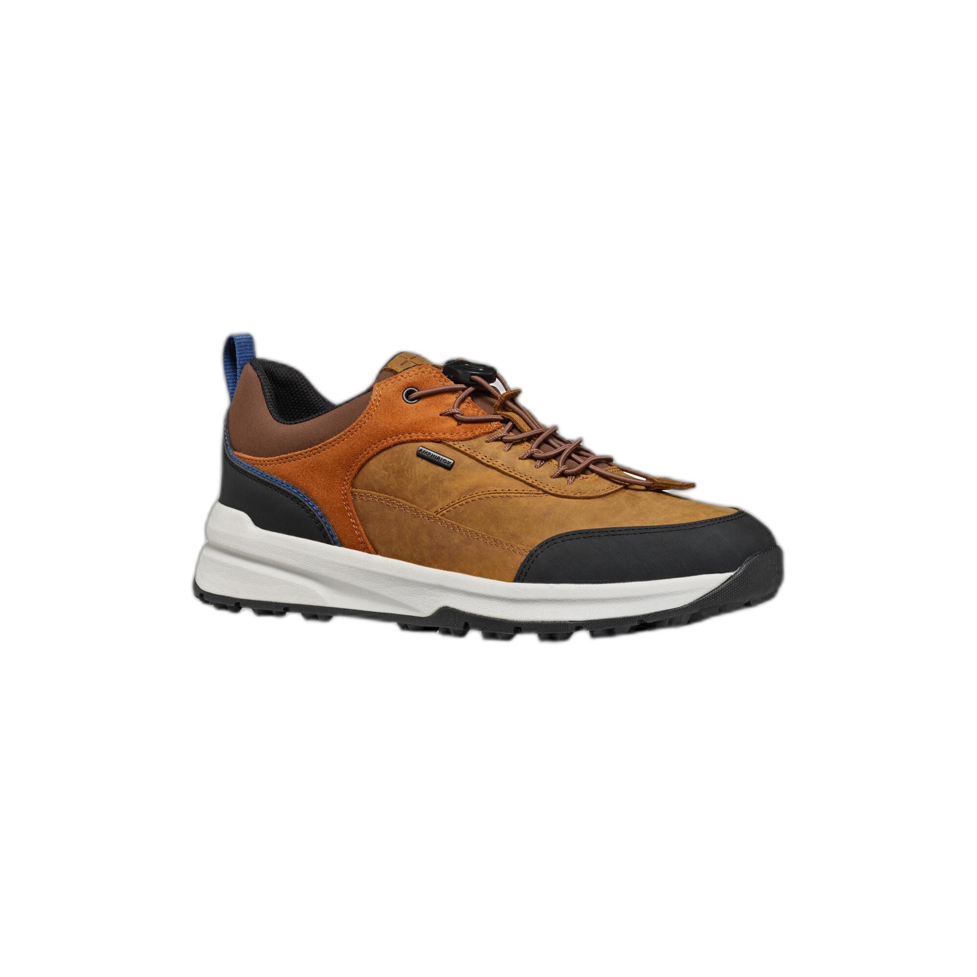 GEOX  sneakers sterratrail 