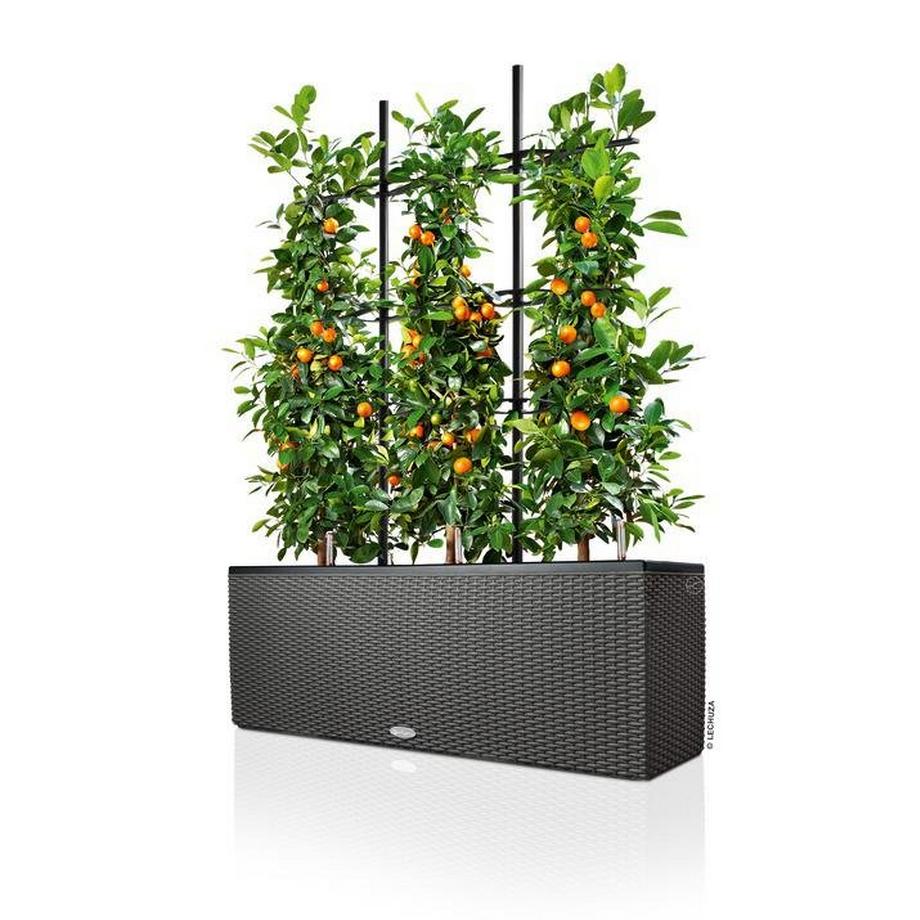 Lechuza TRIO Cottage all-in-one  