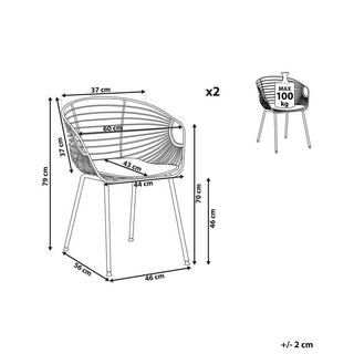 Beliani Lot de 2 chaises en Acier Moderne HOBACK  