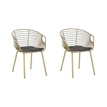 Lot de 2 chaises en Acier Moderne HOBACK