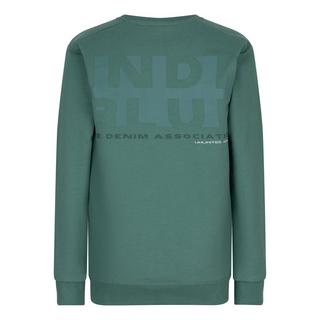 Indian Blue Jeans  Jungen Pullover Washed Green 