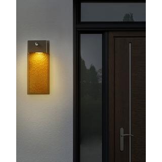 Beliani Lampe murale LED pour l'extérieur en Métal Moderne CARRON  