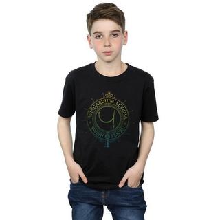 The Boys  Wingardium Leviosa TShirt 