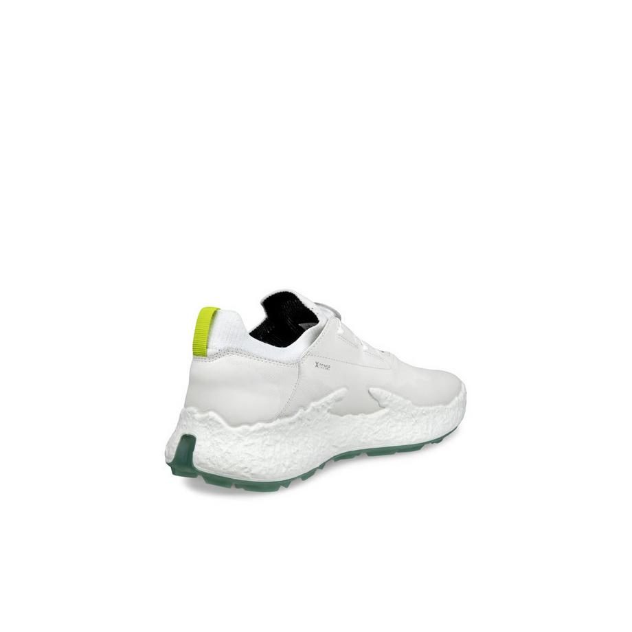 ecco Chaussures de golf Biom H5  