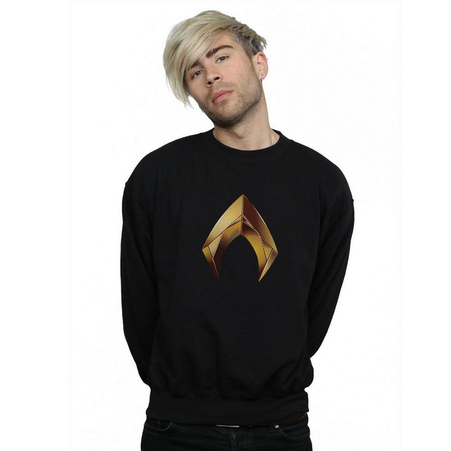 DC COMICS Aquaman Logo Sweatshirt  