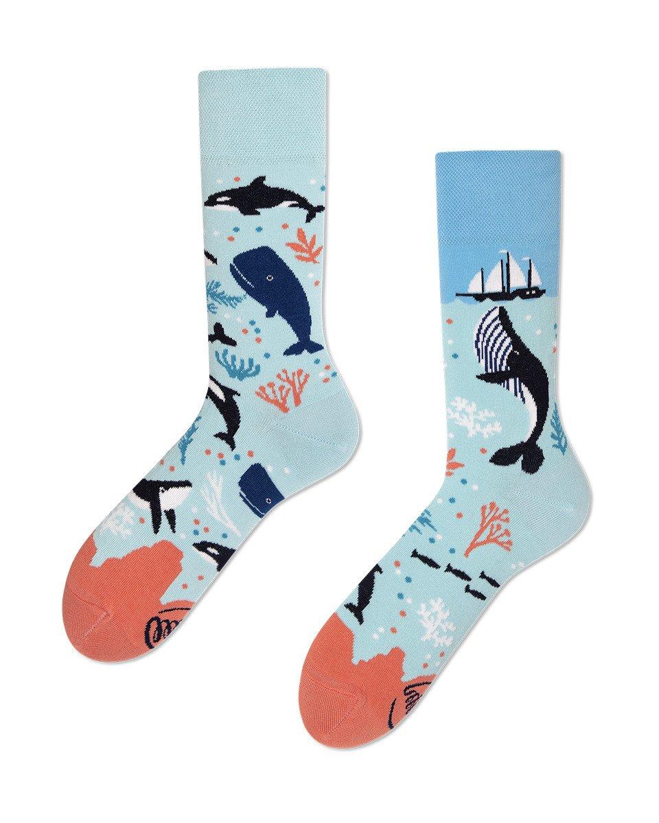 Many Mornings  Ocean Life Socks - Many Mornings 