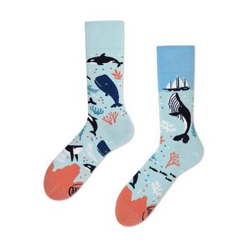 Ocean Life  Chaussettes - Many Mornings