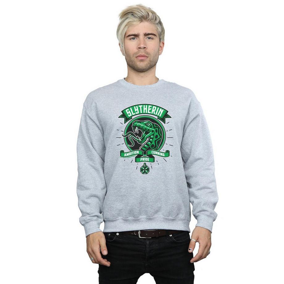 Harry Potter Slytherin Sweatshirt  