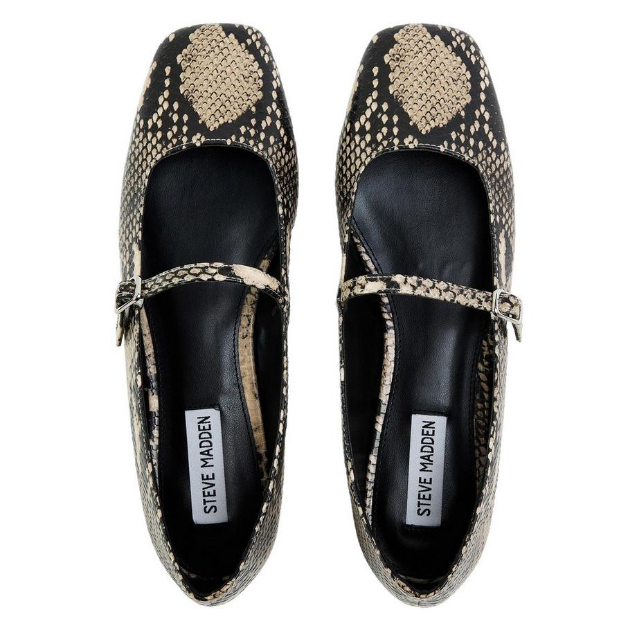STEVE MADDEN Ballerines Ezri Imprimé Serpent  