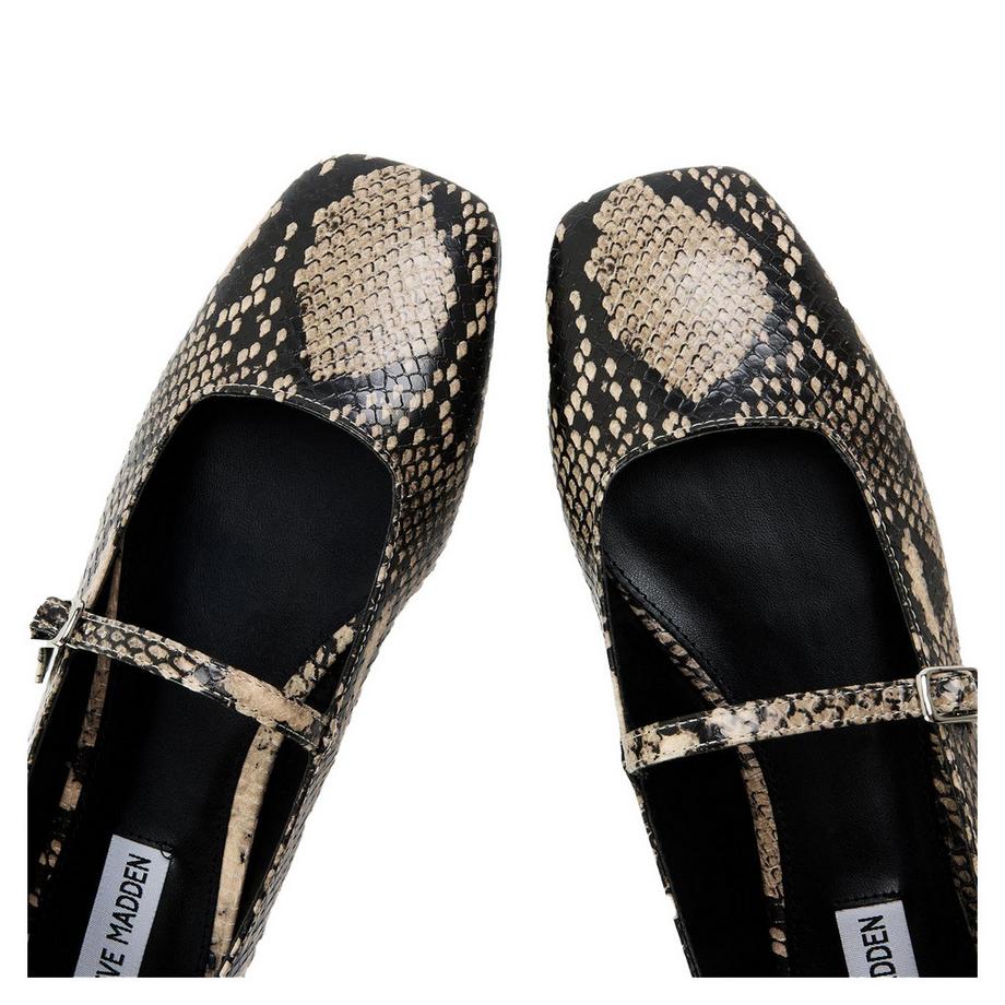 STEVE MADDEN Ballerines Ezri Imprimé Serpent  