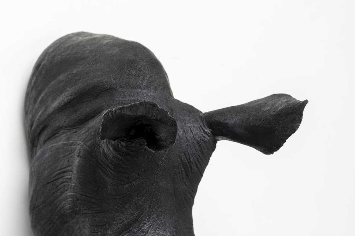 KARE Design Wandobjekt Rhino Head Antique schwarz  