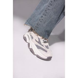 STEVE MADDEN  baskets possession-e 