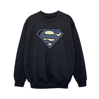 DC COMICS  Sweatshirt 