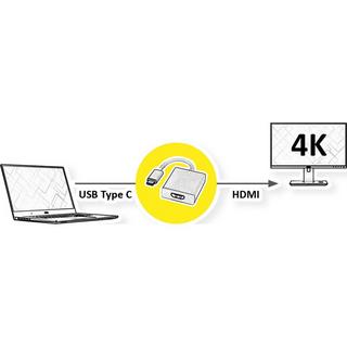 Roline  ROLINE 12.03.3210 cavo e adattatore video 0,1 m USB tipo-C HDMI Argento 