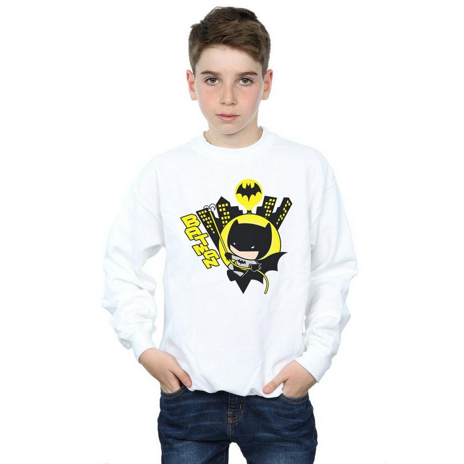 DC COMICS  Sweatshirt 